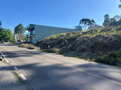 Terreno, 384 hectares - Foto 3