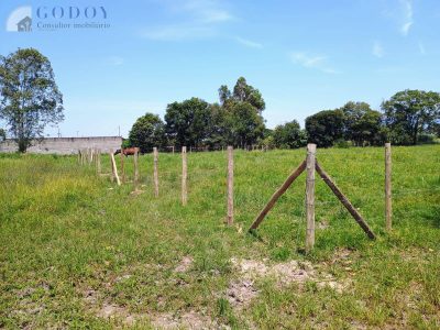 Terreno, 3000 m² - Foto 5