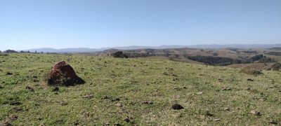 Fazenda, 254100 hectares - Foto 5