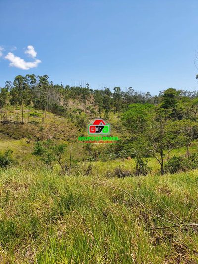 Terreno, 12 hectares - Foto 2