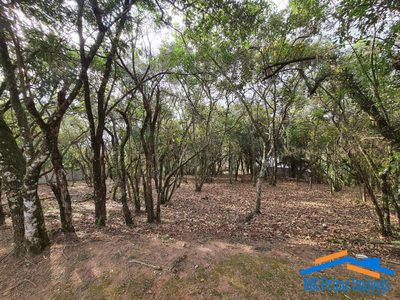Terreno, 1575 m² - Foto 3