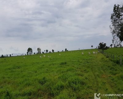 Fazenda, 600 m² - Foto 5