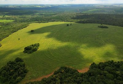 Fazenda, 186 hectares - Foto 3