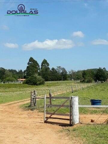 Terreno, 5000 m² - Foto 5