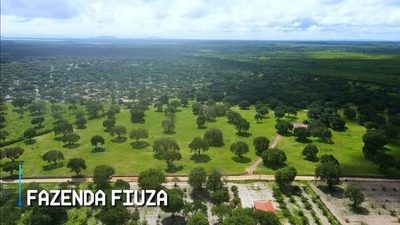 Terreno, 5000 m² - Foto 4