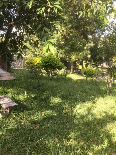 Chácara, 3 quartos, 1520 m² - Foto 4