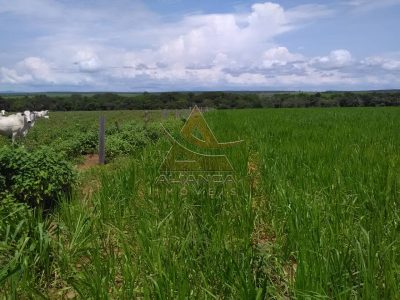 Fazenda, 9529 hectares - Foto 1