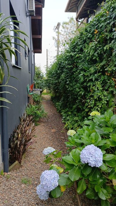 Casa, 4 quartos - Foto 2