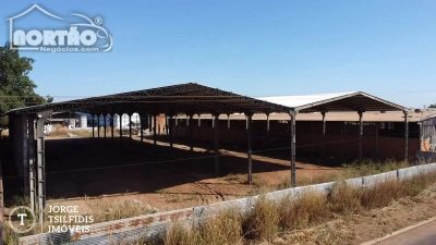 Casa, 4400 m² - Foto 4