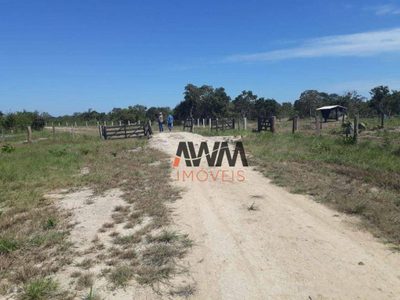 Fazenda, 3106 hectares - Foto 1