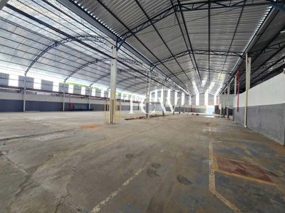 Depósito-Galpão, 5000 m² - Foto 4