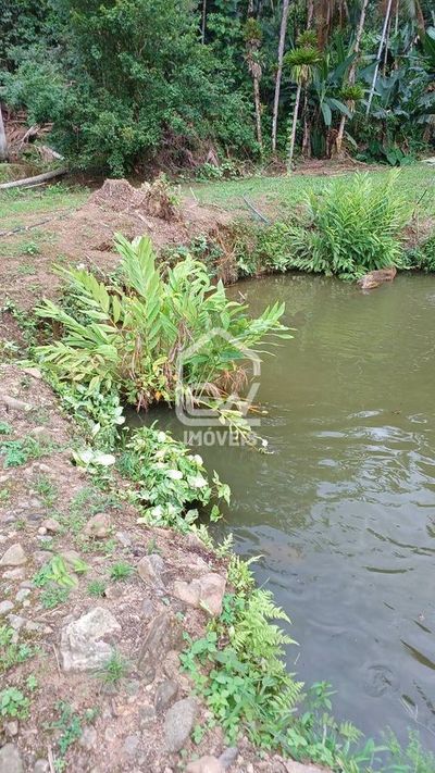 Chácara, 2 quartos, 2 hectares - Foto 5