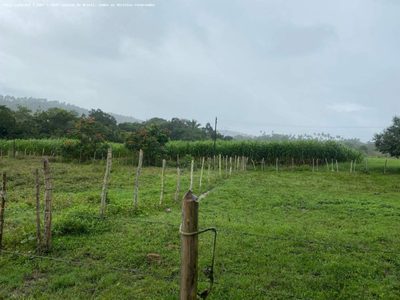 Fazenda, 22 hectares - Foto 2