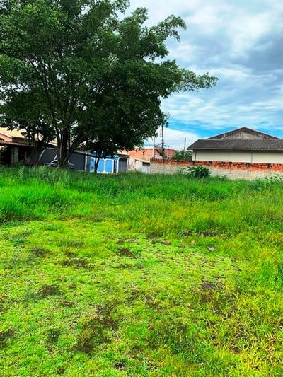 Terreno, 250 m² - Foto 4