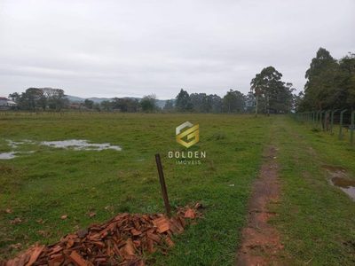Terreno, 334 hectares - Foto 1