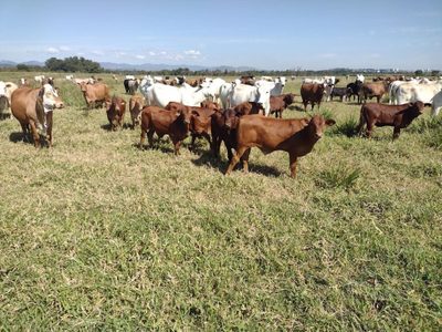 Fazenda, 120 m² - Foto 1