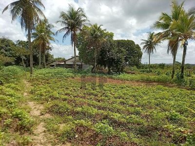 Chácara, 2 quartos, 14 hectares - Foto 4