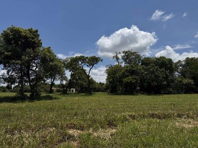 Terreno, 450 m² - Foto 5