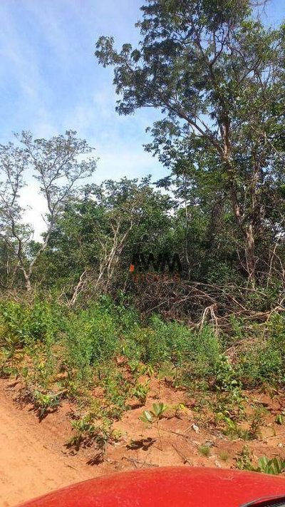 Fazenda, 709 hectares - Foto 4
