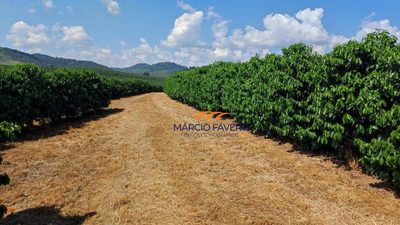 Fazenda, 253 hectares - Foto 2