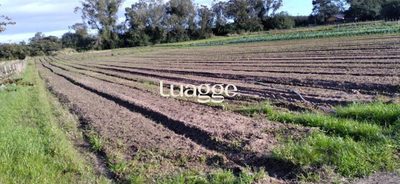 Fazenda - Foto 1