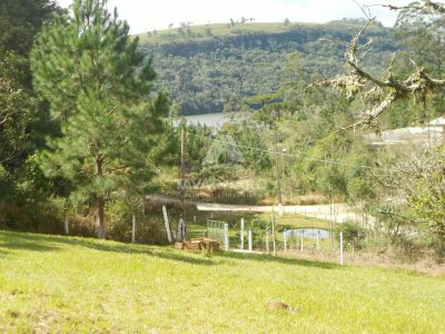 Terreno, 9561 m² - Foto 1