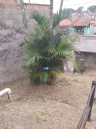 Terreno, 280 m² - Foto 2