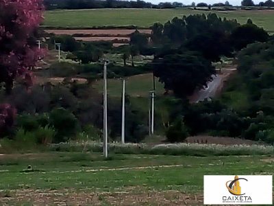 Terreno, 5000 m² - Foto 2