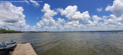 Terreno, 300 m² - Foto 5