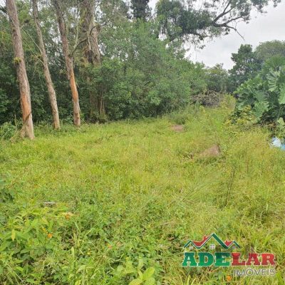 Terreno, 3711 m² - Foto 5