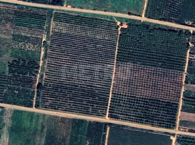 Fazenda - Foto 1