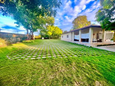 Terreno, 5000 m² - Foto 5