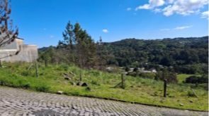 Terreno, 454 hectares - Foto 1