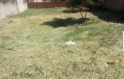 Terreno - Foto 1