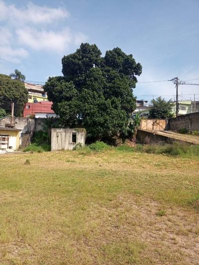 Terreno, 3765 m² - Foto 3
