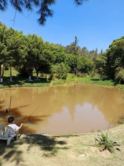 Terreno, 1 hectares - Foto 4