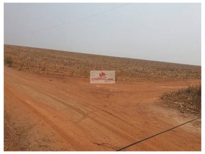 Fazenda, 6 hectares - Foto 2