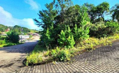Terreno, 451 m² - Foto 3