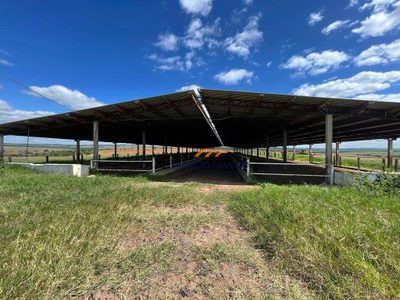 Fazenda, 842 hectares - Foto 2