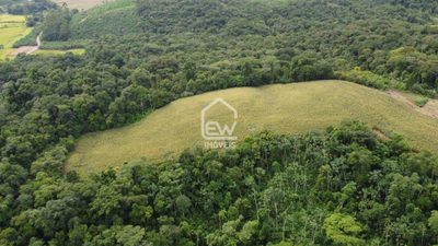 Chácara, 1 quarto, 22 hectares - Foto 4