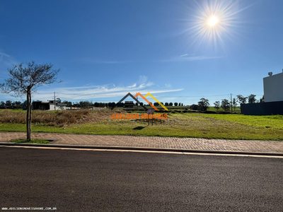 Terreno, 317 m² - Foto 1