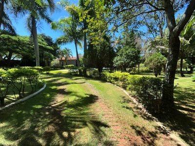 Chácara, 3 quartos, 5000 m² - Foto 5