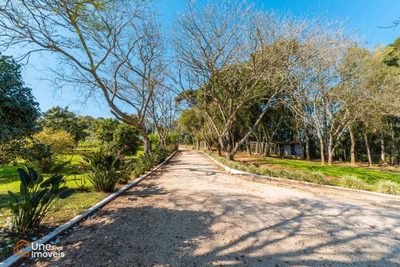 Chácara, 3 quartos, 9 hectares - Foto 4
