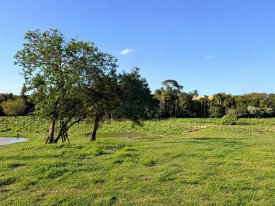 Terreno, 4200 m² - Foto 4