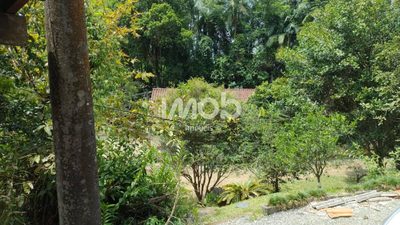 Chácara, 4 quartos, 6 hectares - Foto 4