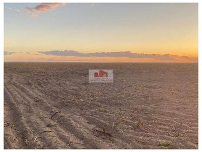 Fazenda, 1 hectares - Foto 2