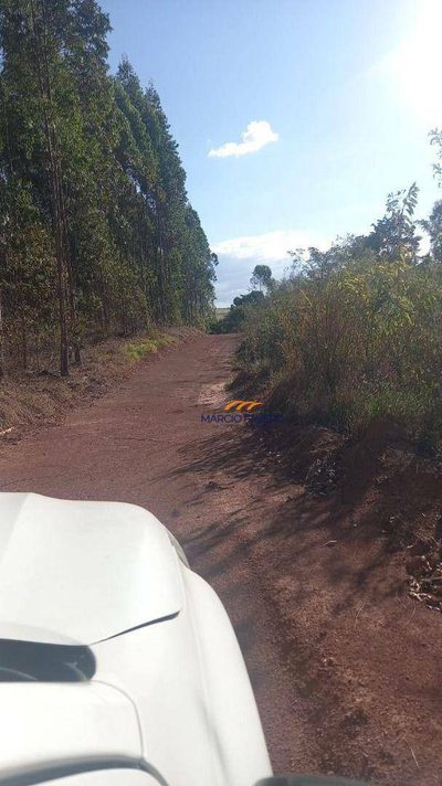 Fazenda, 102 hectares - Foto 4