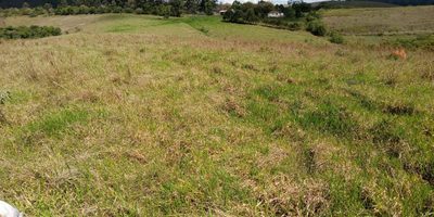 Fazenda, 10000 m² - Foto 4