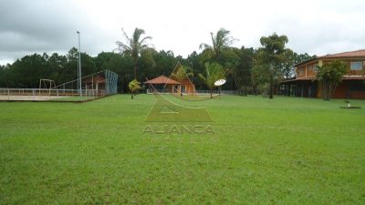 Fazenda, 3553 hectares - Foto 2