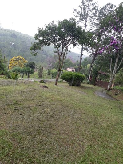 Chácara, 3 quartos, 3 hectares - Foto 3